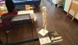 Journée Portes ouvertes, novembre 2017